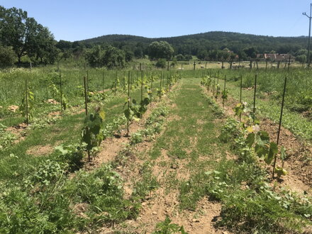 Soběstanost - technologie, pěstování, energetika - 22 - 23.1. 2022 Soběstanost - technologie, pěstování, energetika - 22 - 23.1. 2022