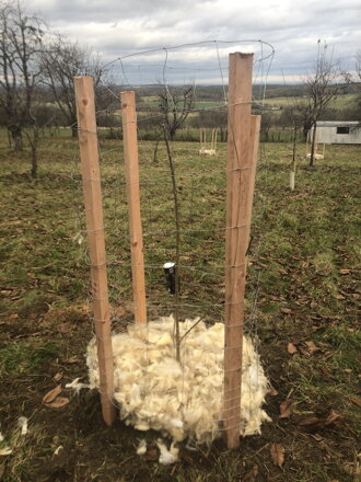 Soběstanost - technologie, pěstování, energetika - 22 - 23.1. 2022 Soběstanost - technologie, pěstování, energetika - 22 - 23.1. 2022